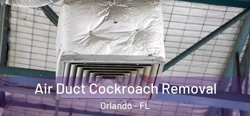 Air Duct Cockroach Removal Orlando - FL