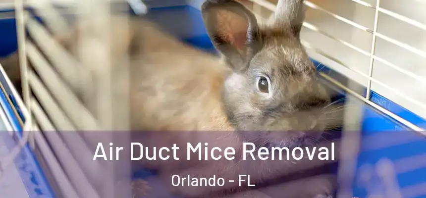 Air Duct Mice Removal Orlando - FL