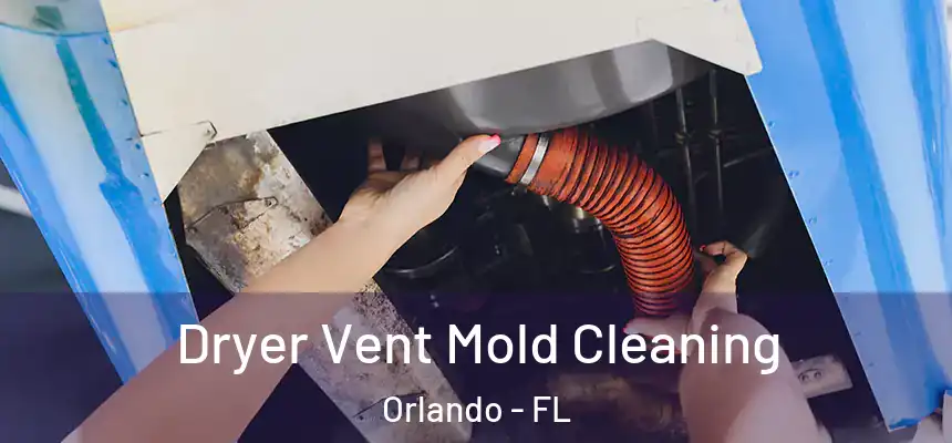  Dryer Vent Mold Cleaning Orlando - FL