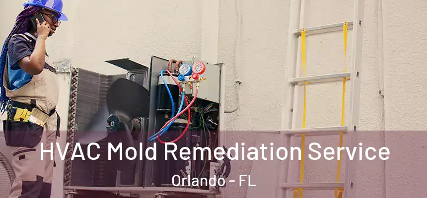 HVAC Mold Remediation Service Orlando - FL