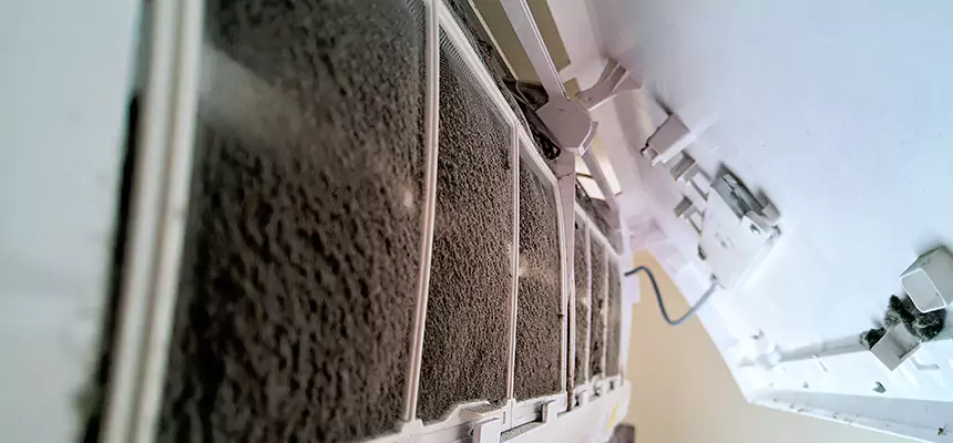 Preventive Air Duct Bacteria Removal in Orlando