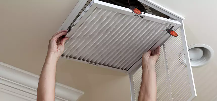 Preventive Cockroach-Proofing for Ducts in Orlando