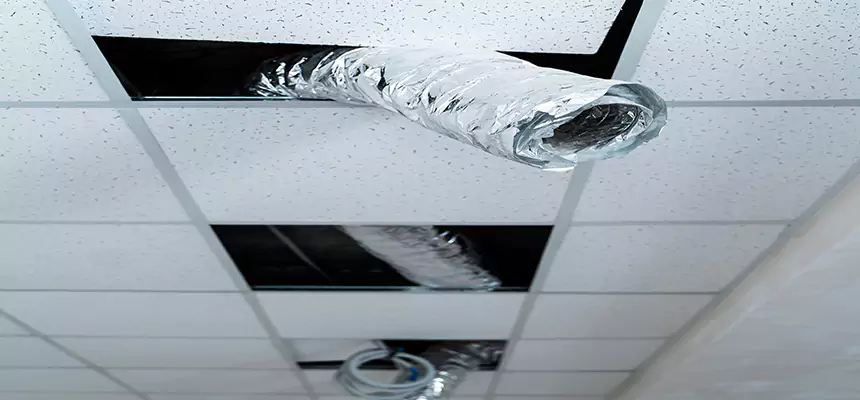 Our Air Duct Pet Hair Removal Services in Orlando, FL