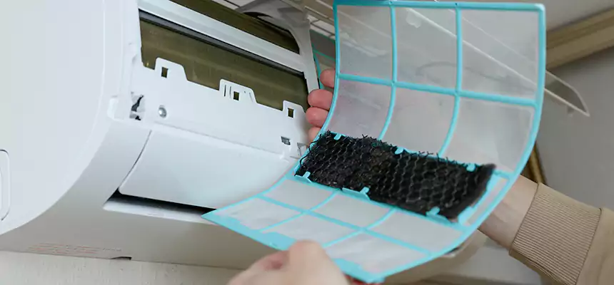 Gentle Ductwork Odor-Control Pet Dander Duct Cleaning in Orlando, FL