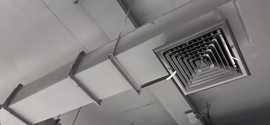 Our Rodent Droppings In Vents Services in Orlando, FL