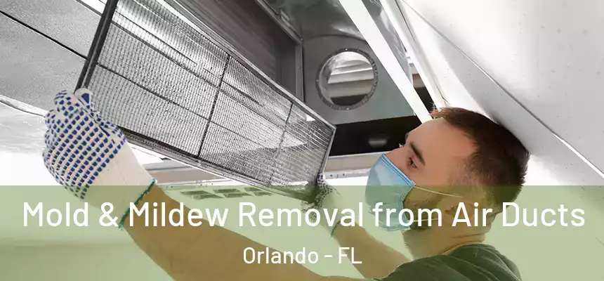  Mold & Mildew Removal from Air Ducts Orlando - FL