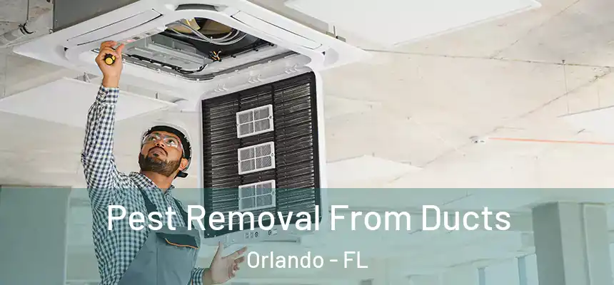  Pest Removal From Ducts Orlando - FL