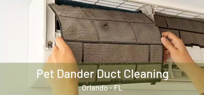 Pet Dander Duct Cleaning Orlando - FL