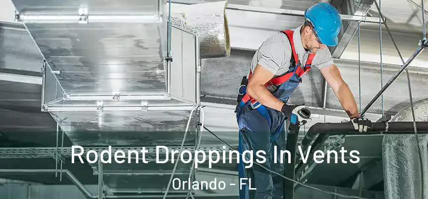Rodent Droppings In Vents Orlando - FL