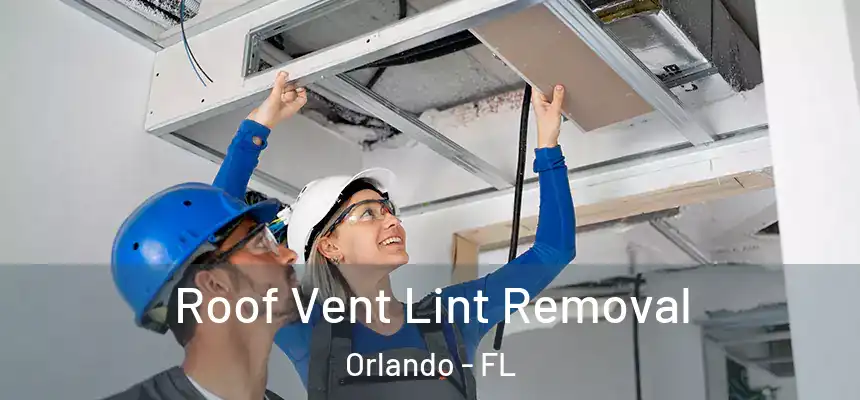  Roof Vent Lint Removal Orlando - FL
