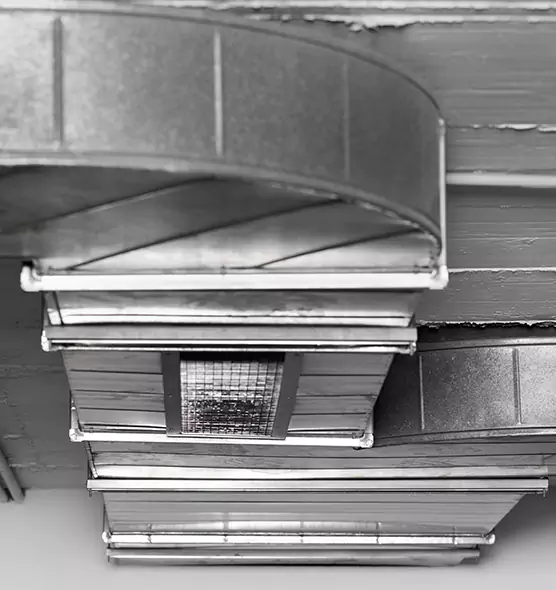 Professional Air Duct Pest Removal in Orlando, FL