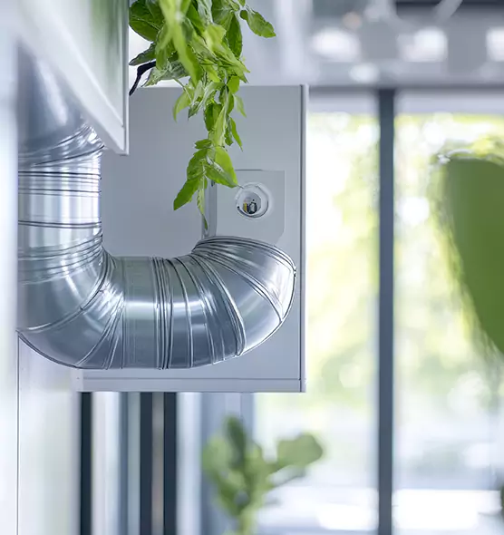 Professional Eco-Friendly Duct Cleaning Services in Orlando, FL