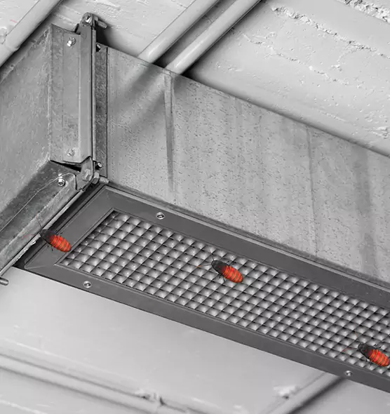 Affordable Insect Removal from Air Ducts in Orlando, FL