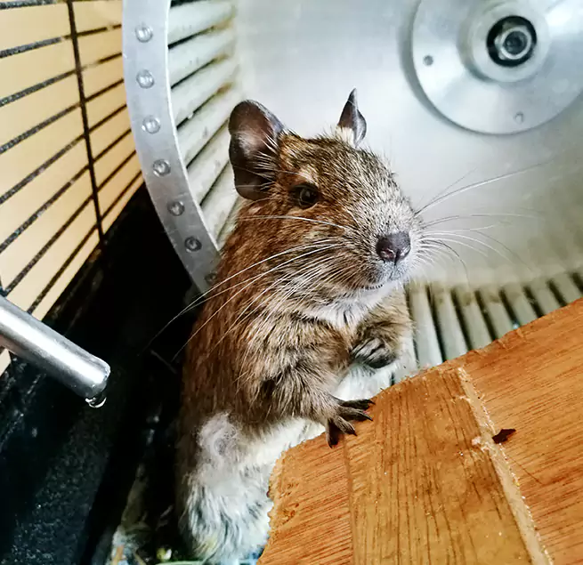 Why Homeowners & Businesses Trust Us Orlando, FL?