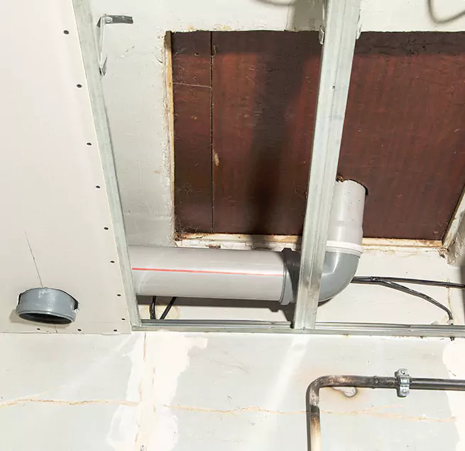 Why Homeowners & Businesses Trust Us in Orlando, FL?