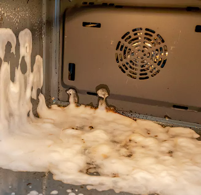 Why Homeowners & Businesses Trust Us in Orlando, FL?