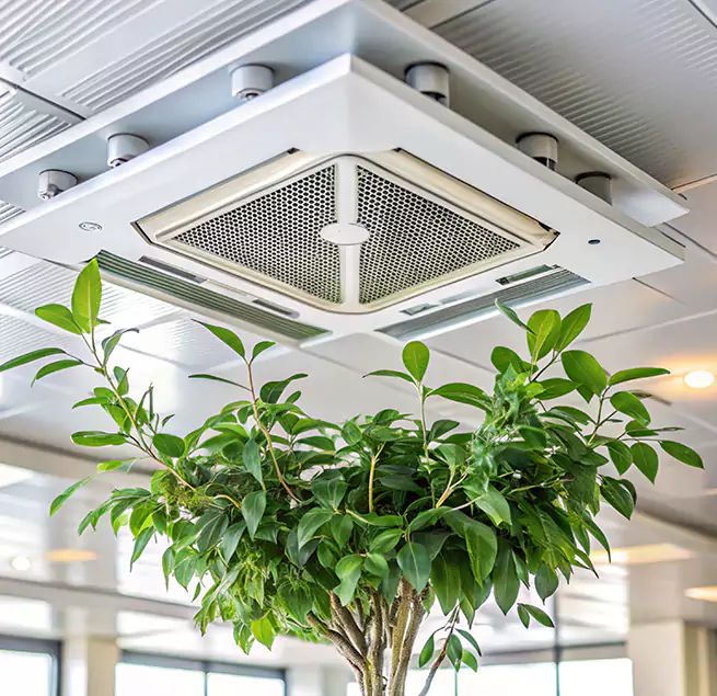 Why Homeowners & Businesses Trust Us in Orlando, FL?