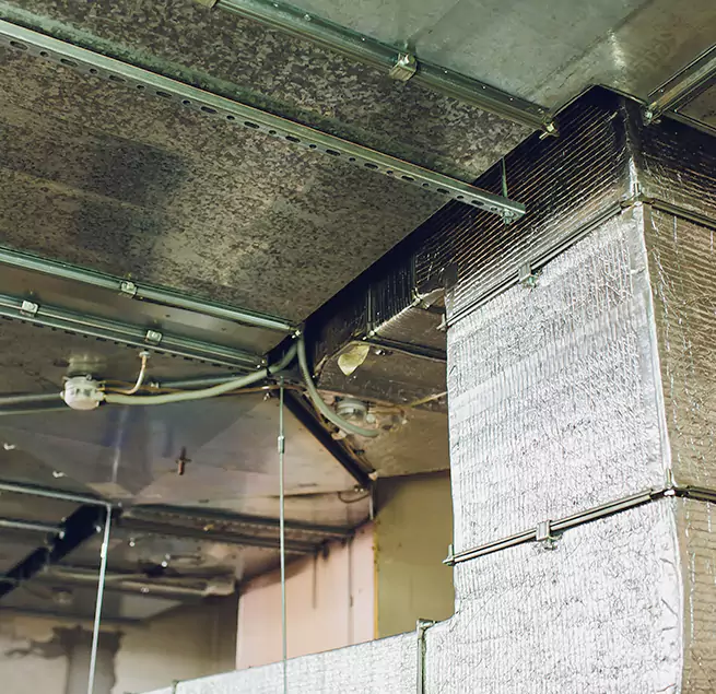 Why Homeowners & Businesses Trust Us in Orlando, FL?